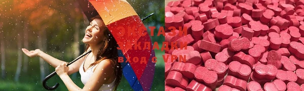 дмт Богданович