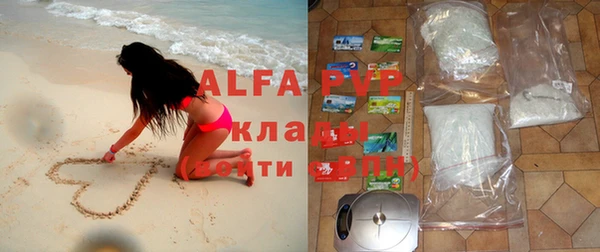 дмт Богданович