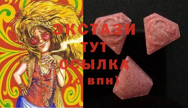дмт Богданович