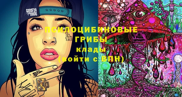 дмт Богданович