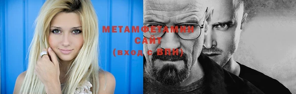 дмт Богданович
