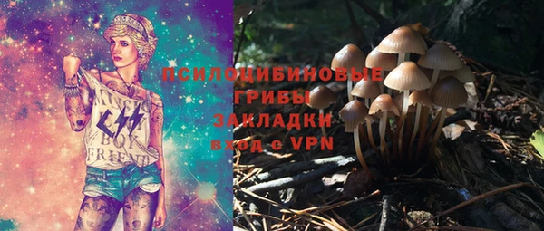 дмт Богданович