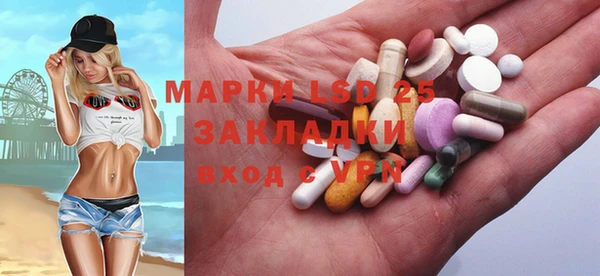 дмт Богданович